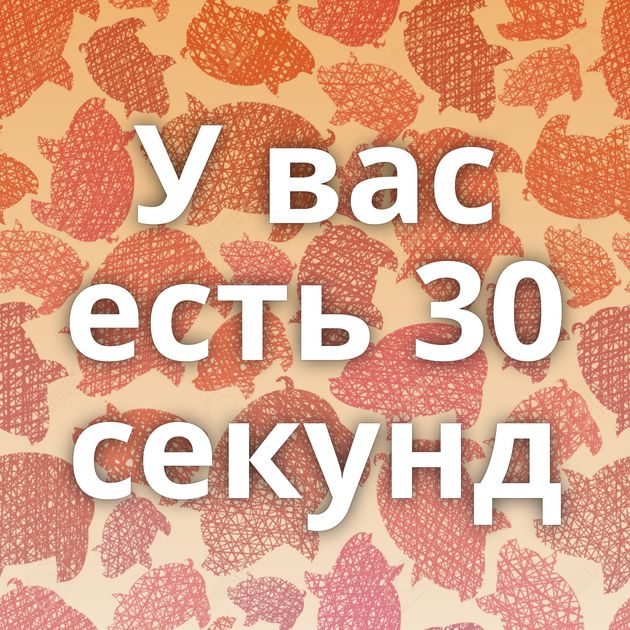 У вас есть 30 секунд