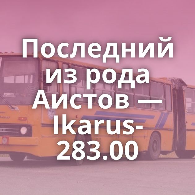 Последний из рода Аистов — Ikarus-283.00