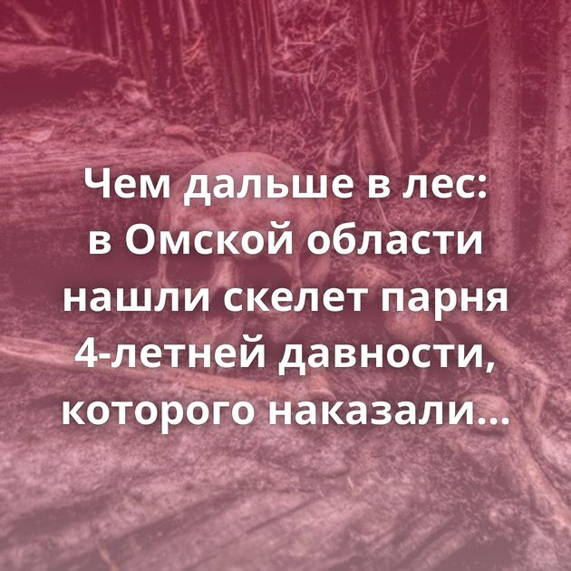 Чем дальше в лес: в Омской области нашли скелет парня 4-летней давности, которого наказали за кражу