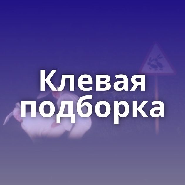 Клевая подборка