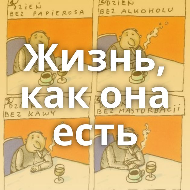 Жизнь, как она есть