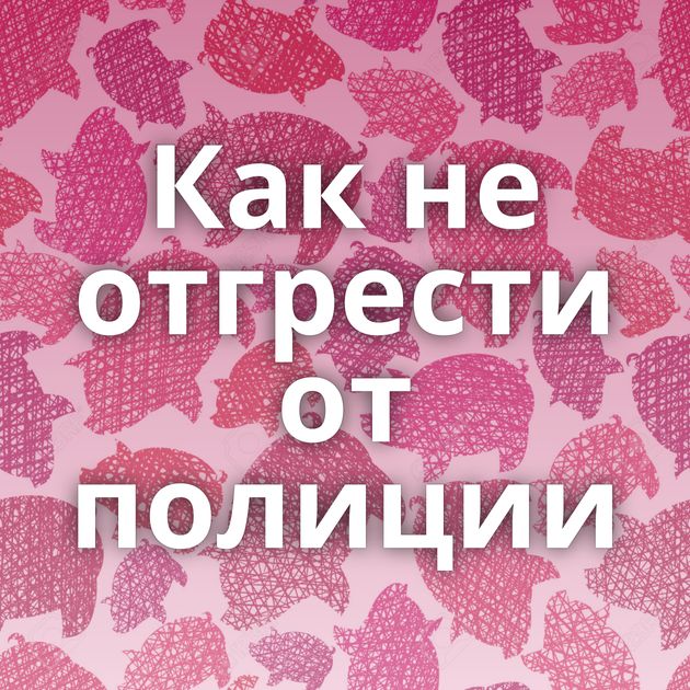 Как не отгрести от полиции