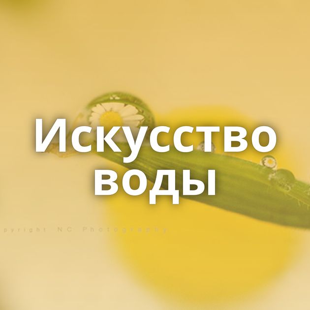 Искусство воды