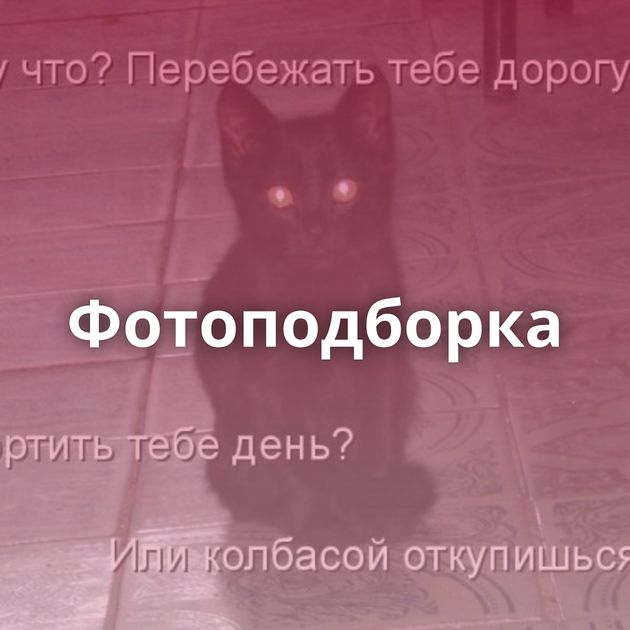 Фотоподборка