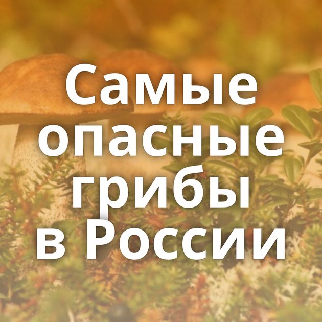 Самые опасные грибы в России