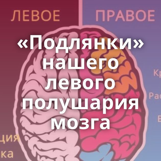 «Подлянки» нашего левого полушария мозга