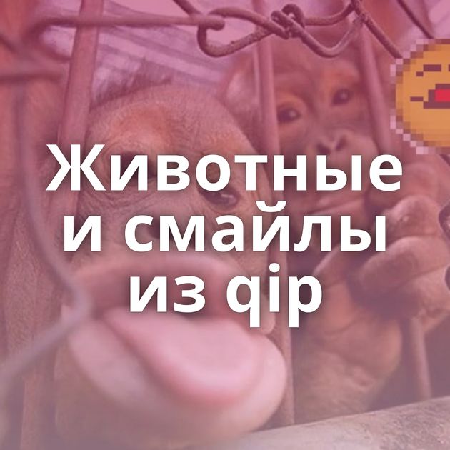 Животные и смайлы из qip