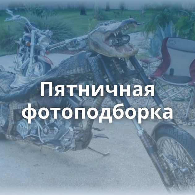 Пятничная фотоподборка