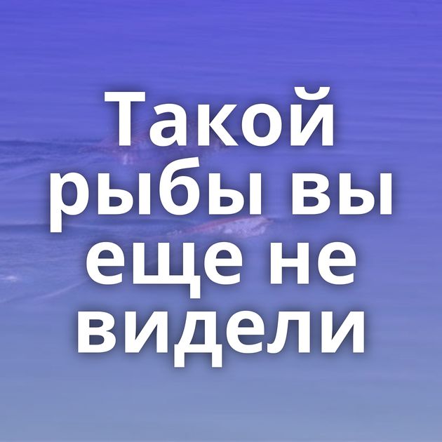 Такой рыбы вы еще не видели