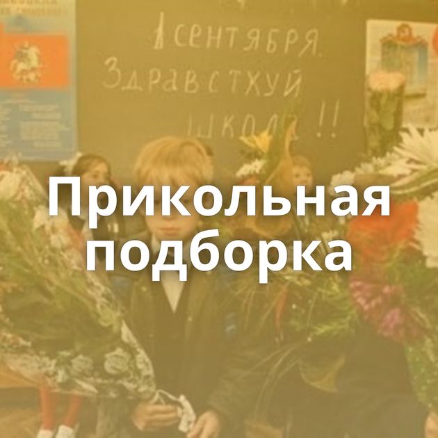 Прикольная подборка