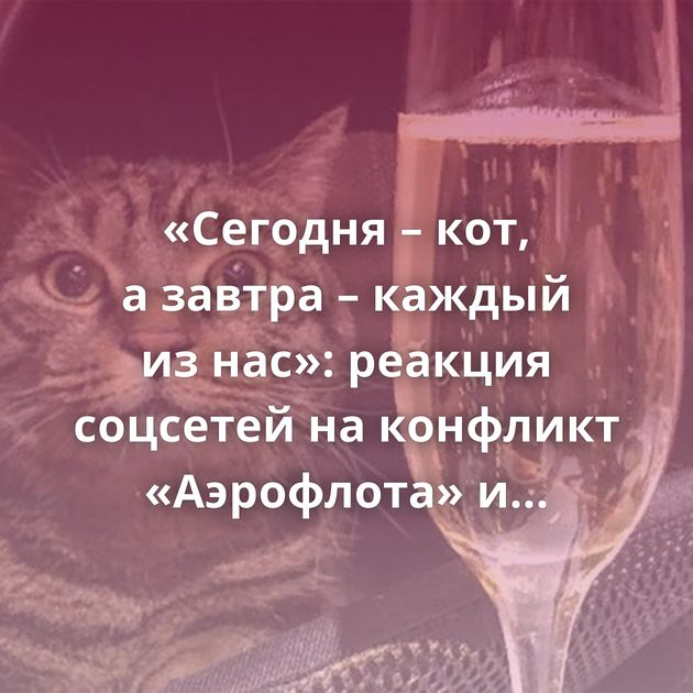 «Сегодня – кот, а завтра – каждый из нас»: реакция соцсетей на конфликт «Аэрофлота» и хозяина кота