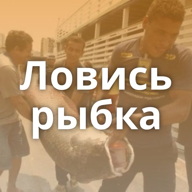 Ловись рыбка