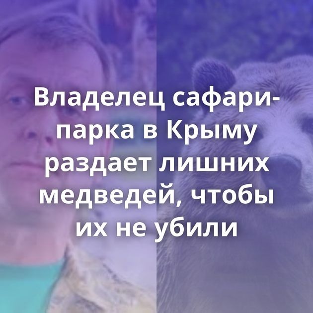 Владелец сафари-парка в Крыму раздает лишних медведей, чтобы их не убили