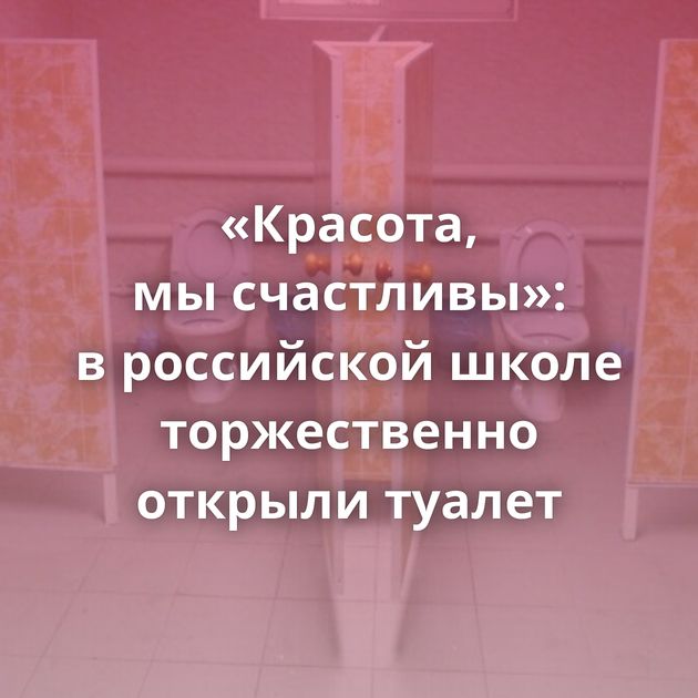 «Красота, мы счастливы»: в российской школе торжественно открыли туалет