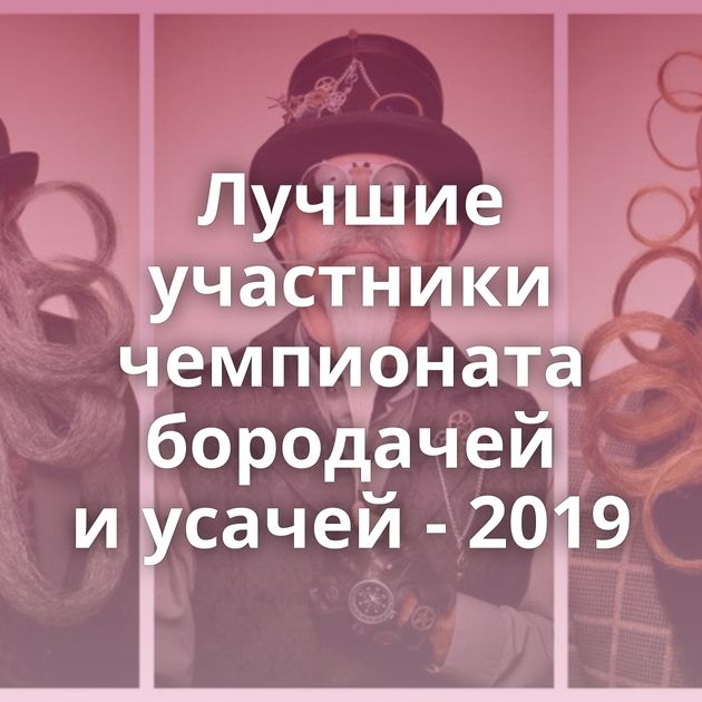 Лучшие участники чемпионата бородачей и усачей - 2019