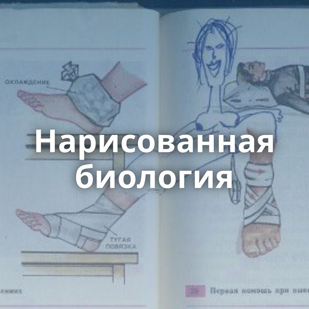 Нарисованная биология