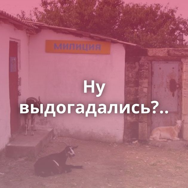 Ну выдогадались?..