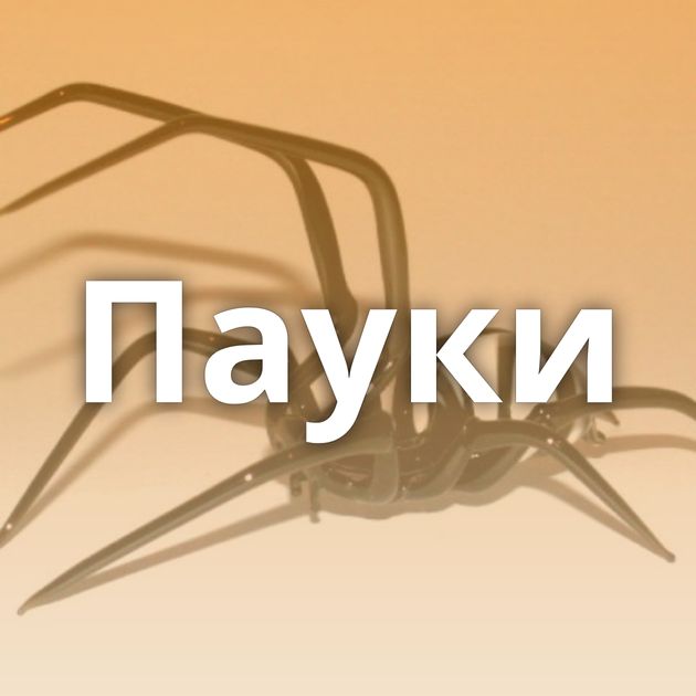 Пауки