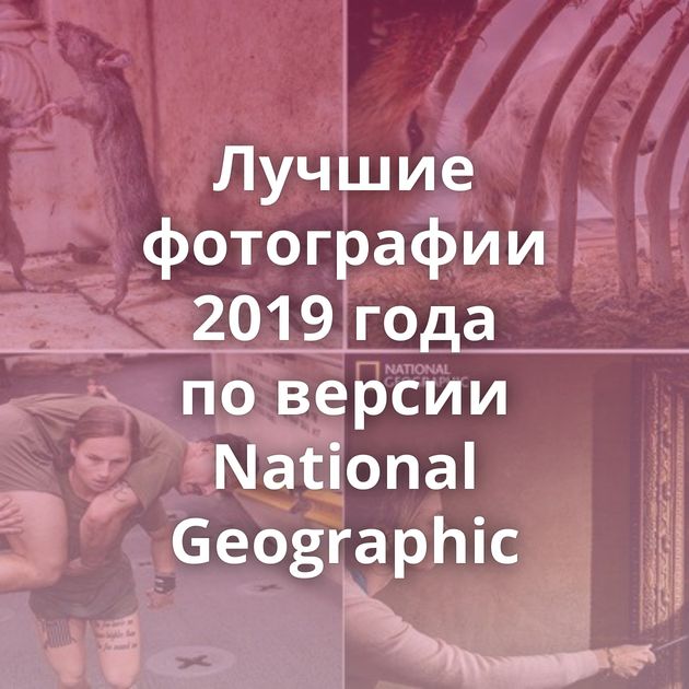 Лучшие фотографии 2019 года по версии National Geographic
