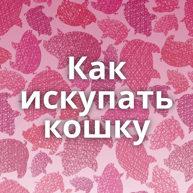 Как искупать кошку