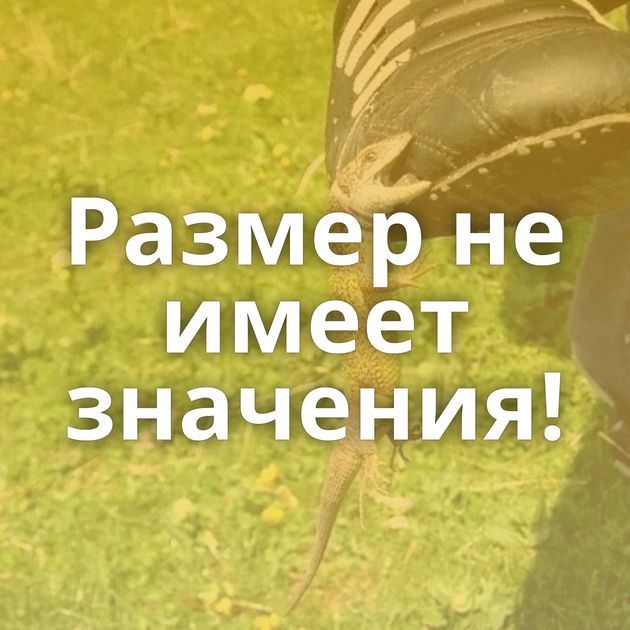 Размер не имеет значения!