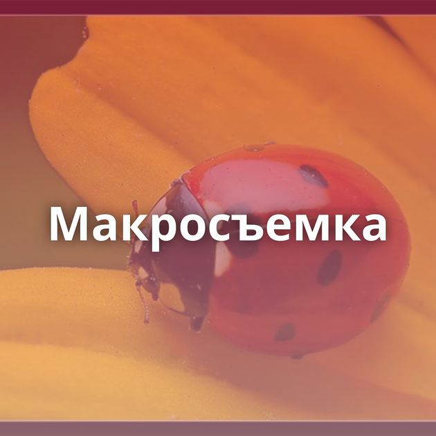 Макросъемка