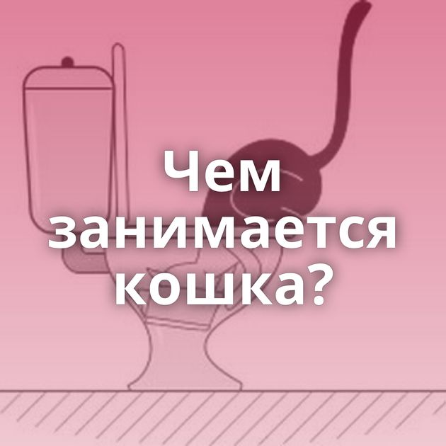 Чем занимается кошка?