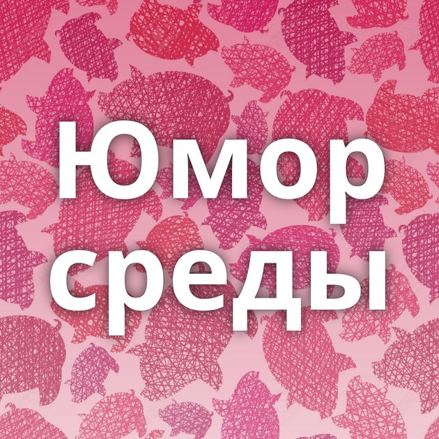 Юмор среды