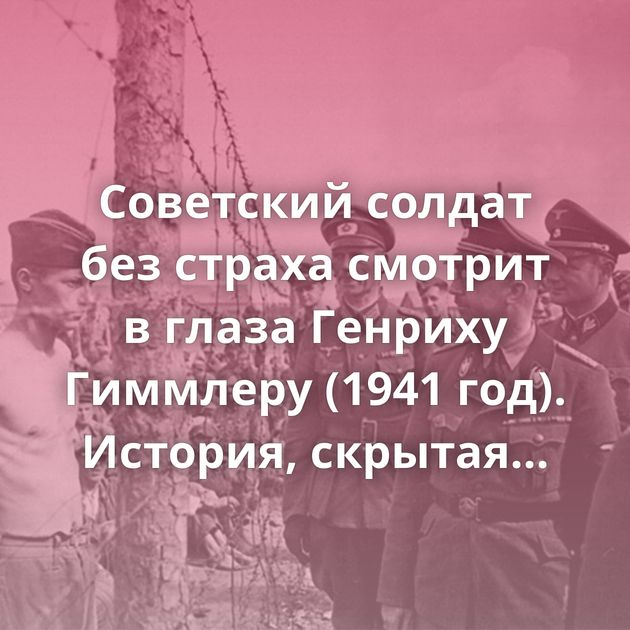Советский солдат без страха смотрит в глаза Генриху Гиммлеру (1941 год). История, скрытая за кадром