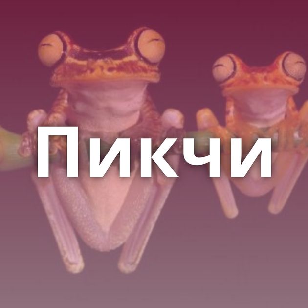 Пикчи