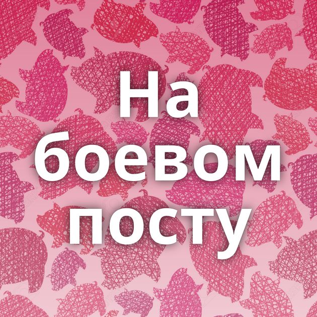 На боевом посту