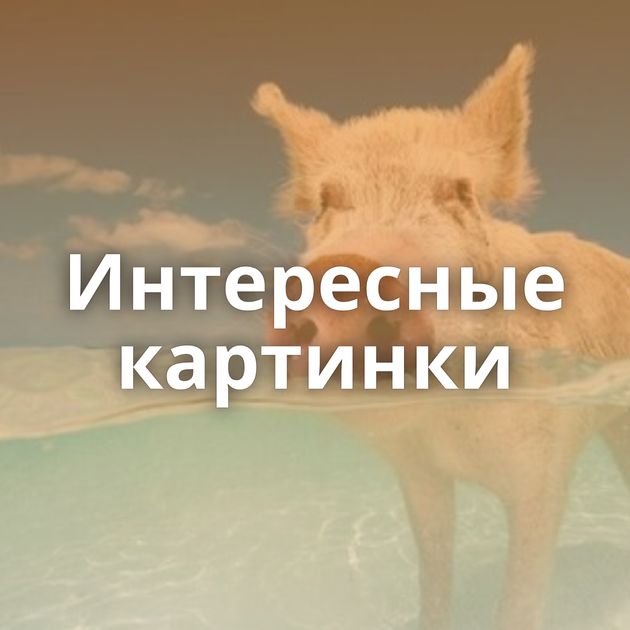 Интересные картинки