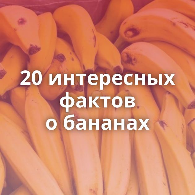 20 интересных фактов о бананах