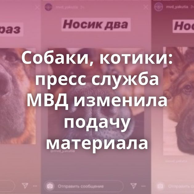 Собаки, котики: пресс служба МВД изменила подачу материала