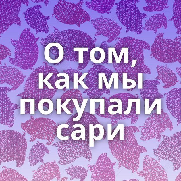 О том, как мы покупали сари