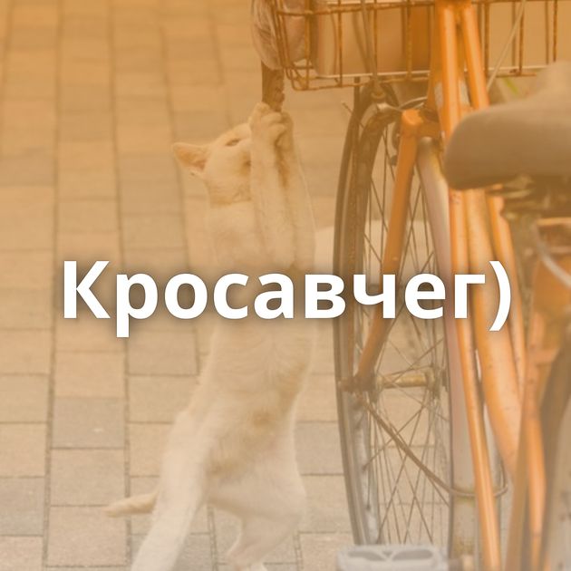 Кросавчег)