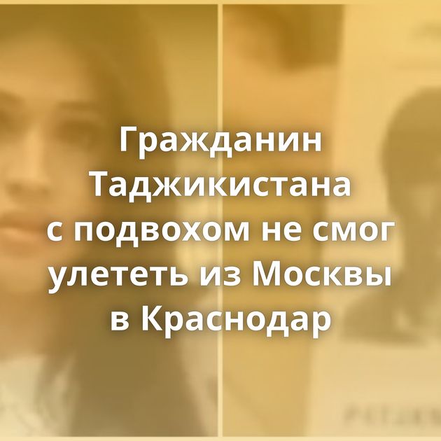 Гражданин Таджикистана с подвохом не смог улететь из Москвы в Краснодар
