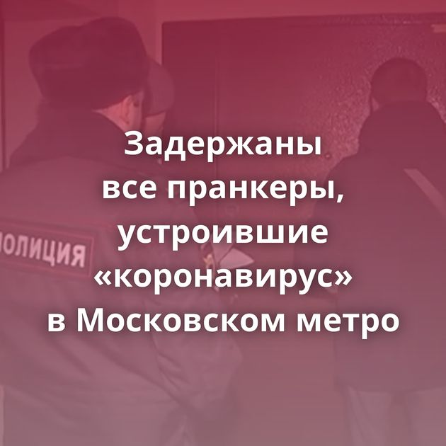 Задержаны все пранкеры, устроившие «коронавирус» в Московском метро