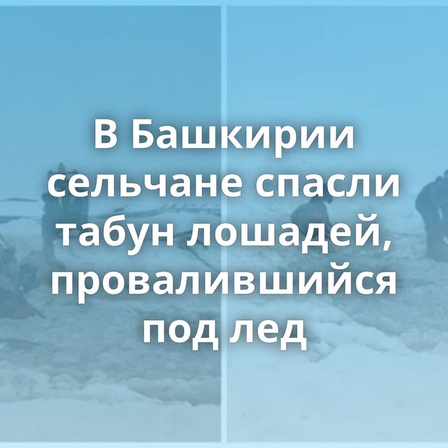 В Башкирии сельчане спасли табун лошадей, провалившийся под лед