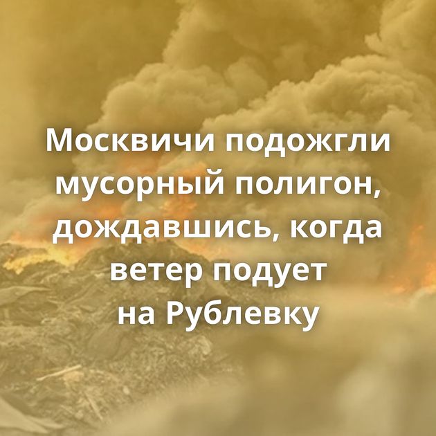 Москвичи подожгли мусорный полигон, дождавшись, когда ветер подует на Рублевку