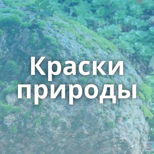 Краски природы