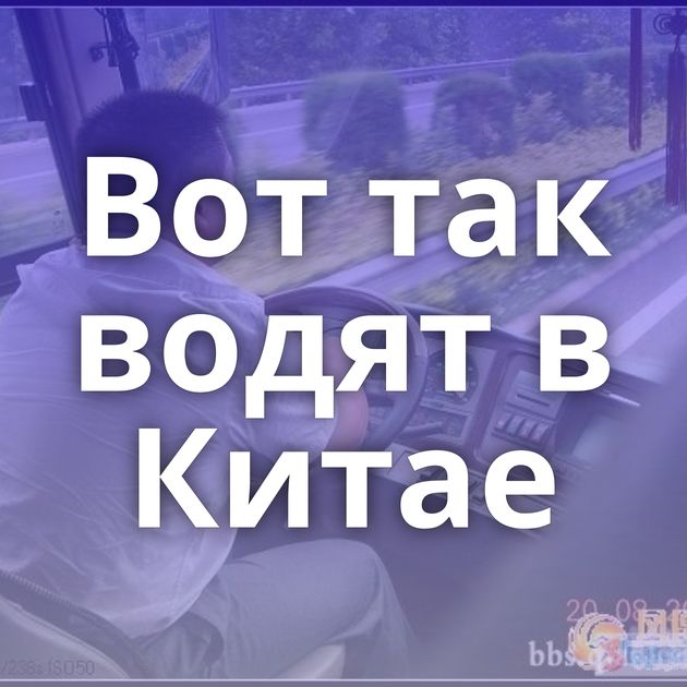 Вот так водят в Китае