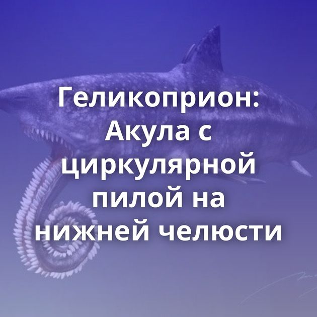 Геликоприон: Акула с циркулярной пилой на нижней челюсти