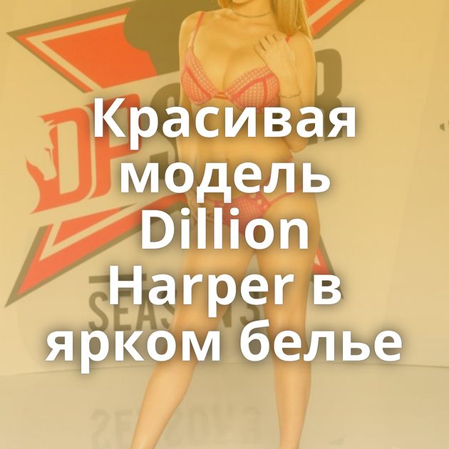 Красивая модель Dillion Harper в ярком белье