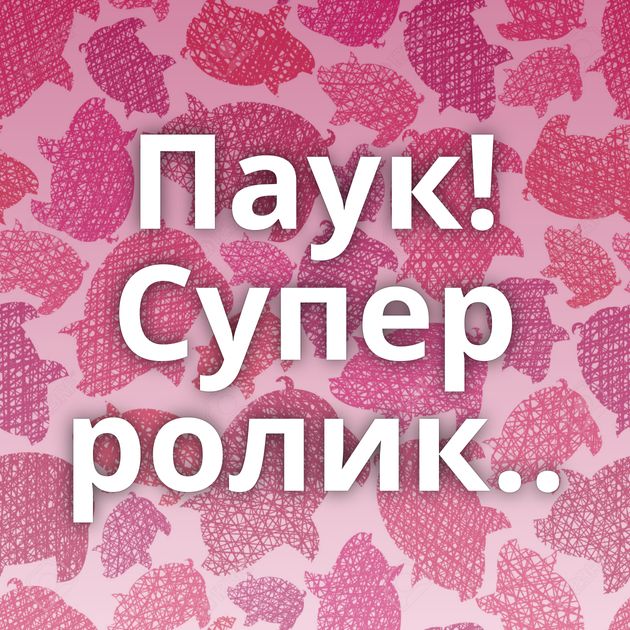 Паук! Супер ролик..