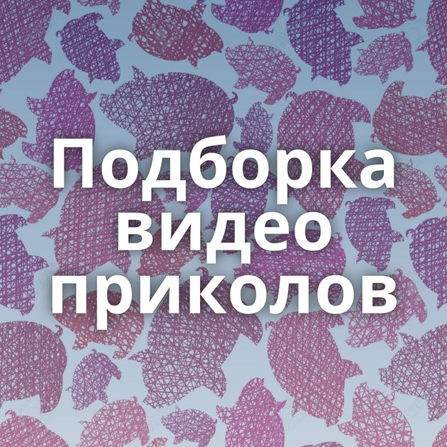 Подборка видео приколов