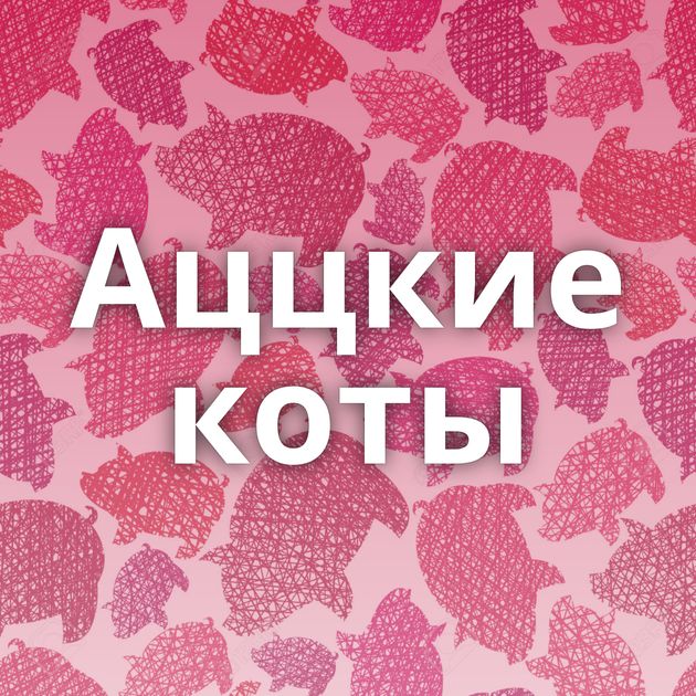 Аццкие коты