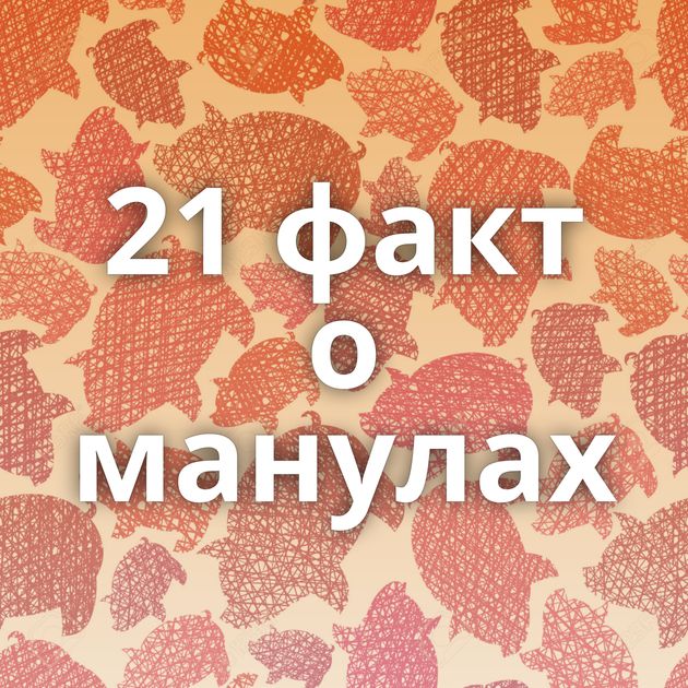 21 факт о манулах