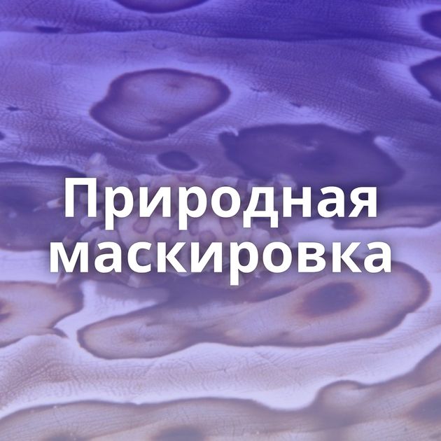 Природная маскировка