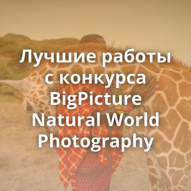 Лучшие работы с конкурса BigPicture Natural World Photography